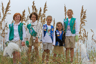beach sweep