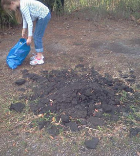 pick up trash 4 pick up trash 4